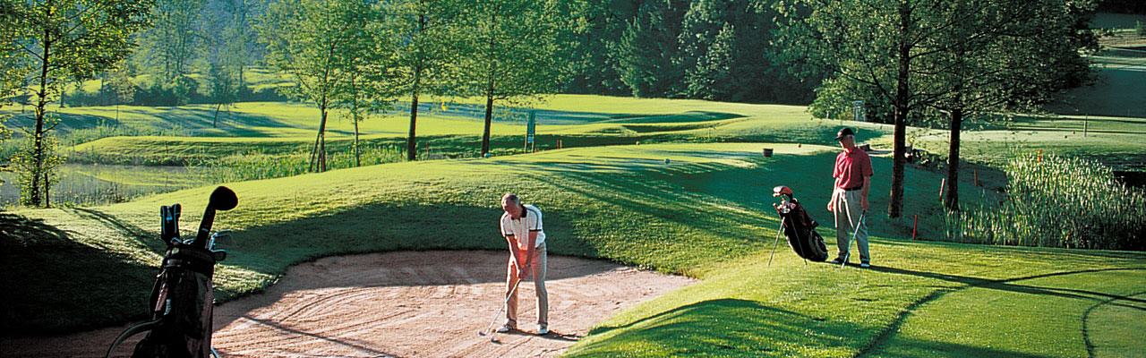 Zur Startseite dieses Webangebots