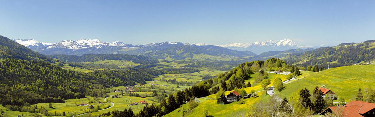 Zur Startseite dieses Webangebots