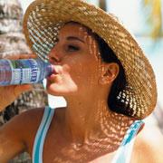 Ein Bild in der Sidebar